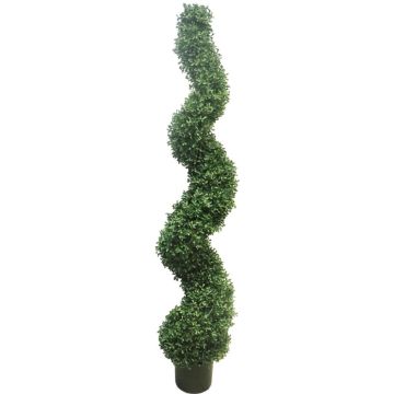 Kunst Buchsbaum Spirale FRITZ, crossdoor, 150cm