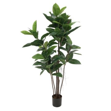 Dekobaum Ficus Elastica VICA, Kunststämme, grün, 120cm