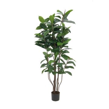 Dekobaum Ficus Elastica VICA, Kunststämme, grün, 150cm