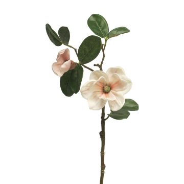 Dekoblume Magnolie KETIAN, weiß-rosa, 50cm