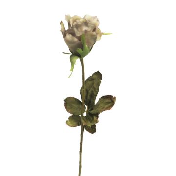 Künstliche Blume Rose HUINA, beige-violett, 60cm