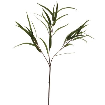 Plastik Zweig Eukalyptus ZIYUMU mit Samen, grün, 80cm