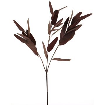 Plastik Zweig Eukalyptus YUZIMO mit Samen, burgunderrot, 80cm