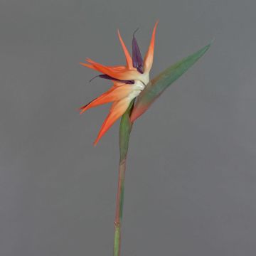 Kunststoff Papageienblume ZAMIRA, orange-violett, 95cm, 16x32cm