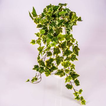 Kunst Efeuhänger MAJA zum Stecken, grün-weiß, 70cm