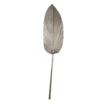 Washingtonia Palmblatt getrocknet DAIANE, champagner, 100cm Washingtonia Palmblatt getrocknet DAIANE, champagner, 100cm
