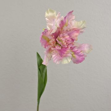 Deko Blume Papageientulpe ALISCHA, lila-creme, 70cm, Ø19cm