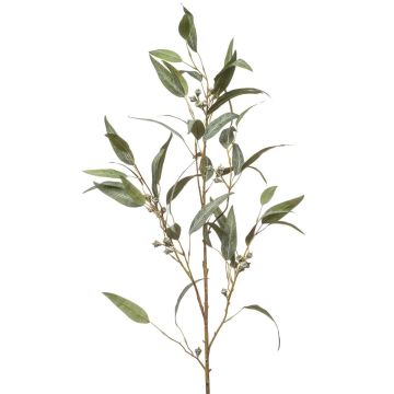 Deko Zweig Eukalyptus JURKA mit Früchten, grün-grau, 115cm