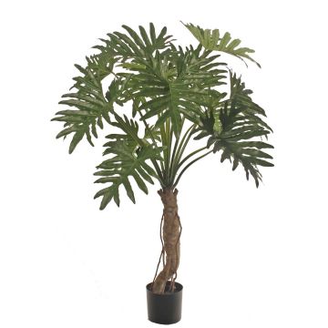 Dekopflanze Philodendron Selloum DONIS, Kunststamm, 150cm