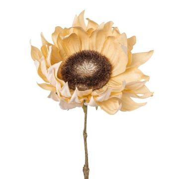 Kunstblume Sonnenblume CRUFT, Trockenoptik, creme, 60cm
