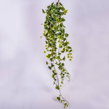 Kunst Efeuhänger MAJA zum Stecken, grün-weiß, 120cm