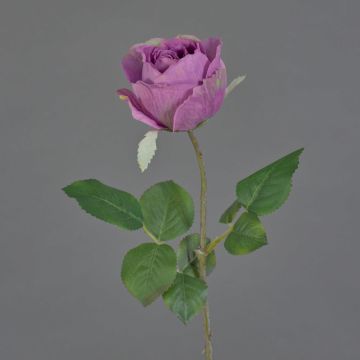 Deko Kunstblume Rose POPI, violett-grün, 55cm, Ø7cm