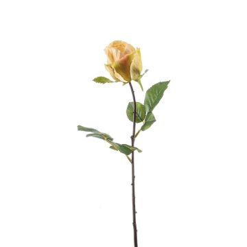 Textil Blume Rose POPI, gelb-rosa, 55cm