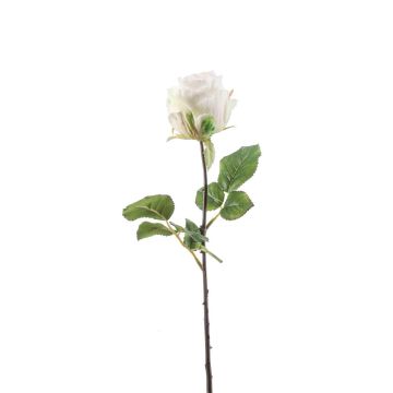 Textil Blume Rose POPI, weiß-grün, 55cm