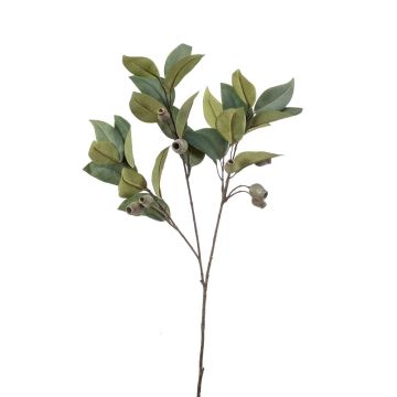 Künstlicher Zweig Eukalyptus VIZIMIR mit Früchten, grün, 80cm