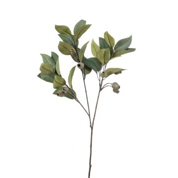 Eukalyptuszweig künstlich VIZIMIR mit Früchten, grün, 80cm