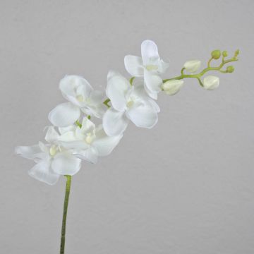 Dekozweig Phalaenopsis Orchidee AMARNE, weiß, 85cm, Ø7-11cm