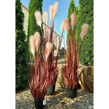 Plastik Pampasgras WERNHILD mit Rispen, im Dekotopf, rot-braun, 180cm