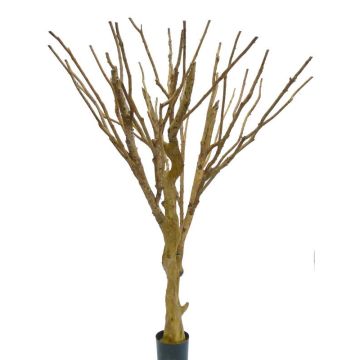 Dekobaum Baumstamm laublos MAKOA mit Geäst, braun, 220cm