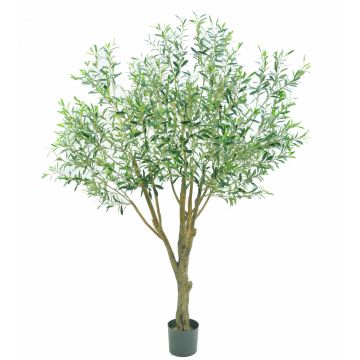 Künstlicher Olivenbaum BITAC, Kunststamm, 200cm