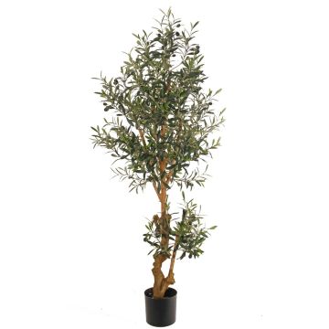 Künstlicher Olivenbaum LAILANA, Früchte, Kunststamm, 150cm