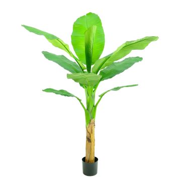Kunst Bananenbaum SCHWANA, 150cm