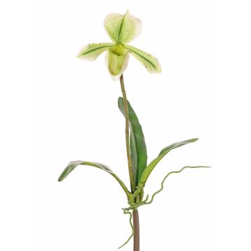 Deko Paphiopedilum Orchidee VELANA, Stecker, grün-weiß, 40cm