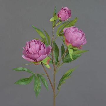Künstlicher Zweig Pfingstrose MANJA, violett, 70cm, Ø8-10cm
