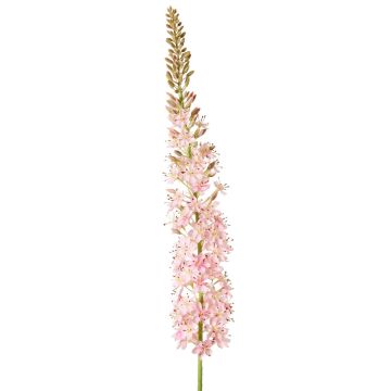 Unechte Steppenkerze SELINA, hellrosa, 130cm, Ø9cm