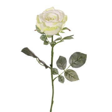 Samt Rose HUSA, weiß-grün, 75cm, Ø10cm