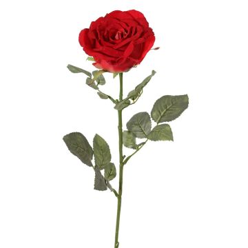 Samt Rose HUSA, rot, 75cm, Ø10cm