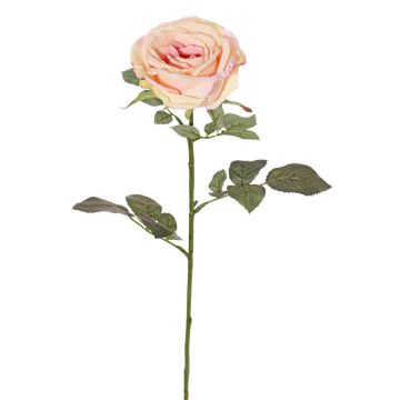 Samt Rose HUSA, rosa-creme, 75cm, Ø10cm