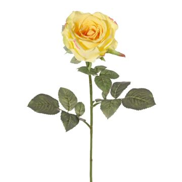 Samt Rose HUSA, gelb, 75cm, Ø10cm