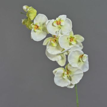 Künstlicher Blumenzweig Phalaenopsis Orchidee WESA, weiß-grün, 90cm, Ø11-12,5cm