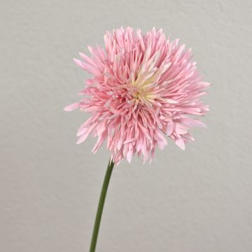 Kunst Chrysantheme NANDITA, rosa-creme, 60cm, Ø15cm