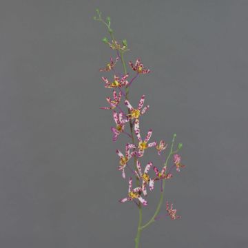 Künstlicher Blumenzweig Cattleya Orchidee TRASSA, violett-weiß-gelb, 80cm, Ø4-8cm
