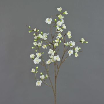 Deko Apfelblütenzweig SADAKA mit Blüten, creme, 95cm, Ø1,5-4cm