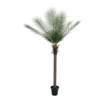 Künstliche Dattelpalme NEVANA, crossdoor, 220cm
