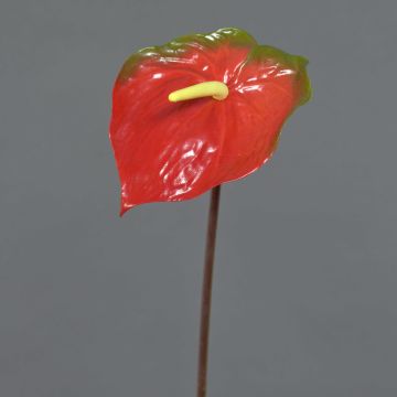 Kunstblume Flamingoblume MOIRA, rot-grün, 75cm, 13x18cm