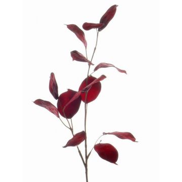 Dekopflanze Lunaria Zweig JEPPE, dunkelrot, 60cm