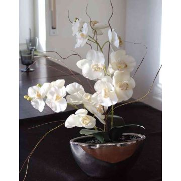 Plastik Phalaenopsis Orchidee ANALIE, Keramiktopf, creme, 50cm