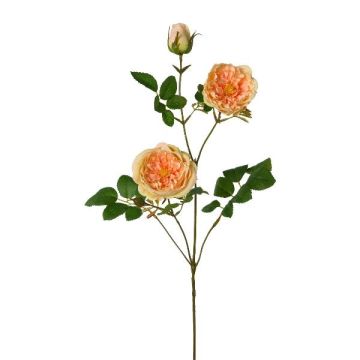 Künstlicher Zweig Pfingstrose KROVEL, aprikose, 75cm