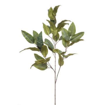 Eukalyptus Kunstzweig BELUNI, grün, 125cm