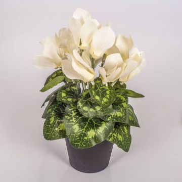 Kunstblume Alpenveilchen HEIDI im Dekotopf, creme, 25cm, Ø5-8cm