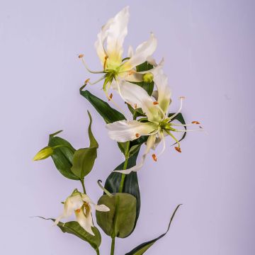 Textilblume Gloriosa FUJITA, creme-grün, 80cm, Ø15cm