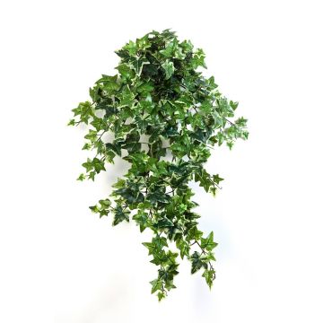 Dekopflanze Efeuhänger LUKA zum Stecken, grün-weiß, 70cm