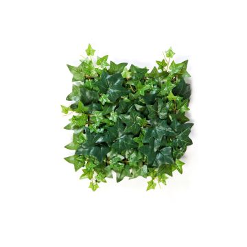 Dekopflanze Efeu Hecke / Matte LUKA, grün, 30x30cm
