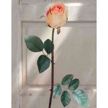 Samt Rose SAPINA, gelb-orange, 60cm, Ø6cm