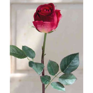 Samt Rose SAPINA, rot-grün, 60cm, Ø6cm
