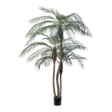 Kunst Palme Phönix ELIES, 210cm